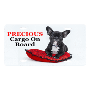 Personalized license plate