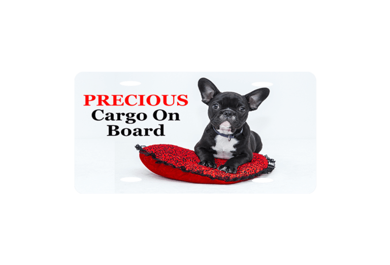 Personalized license plate
